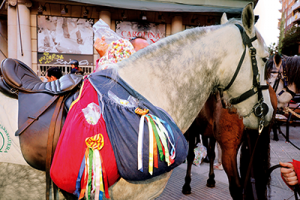 20150308ElJardi05SantMedirSeleccionLaBordetaSantGervasi_DSC4776
