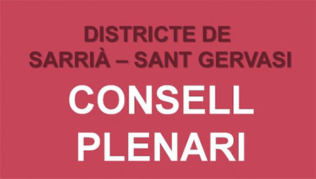 Consell_plenari