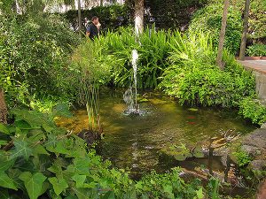 IMG_4358