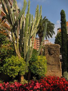 IMG_4361