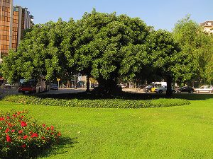 img_4710