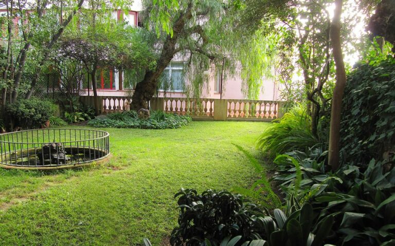 El jardí de la Fundació Josep Amat