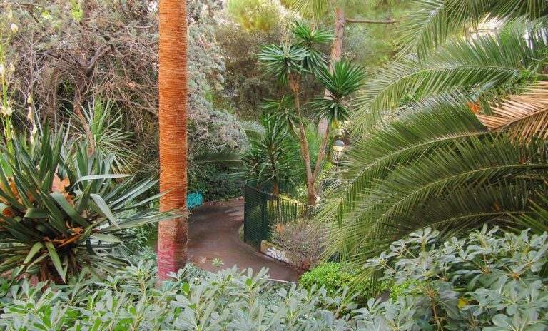 Arbres i jardinets a la Via Augusta, 1 (entre Muntaner i General Mitre)