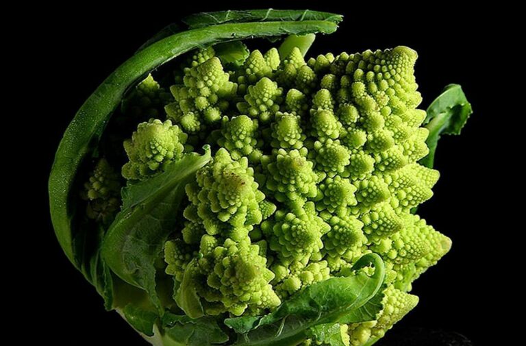 Romanesco