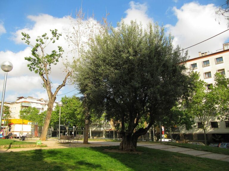 Sobre els parc i jardins