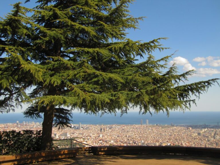 Els jardins de l’Observatori Fabra