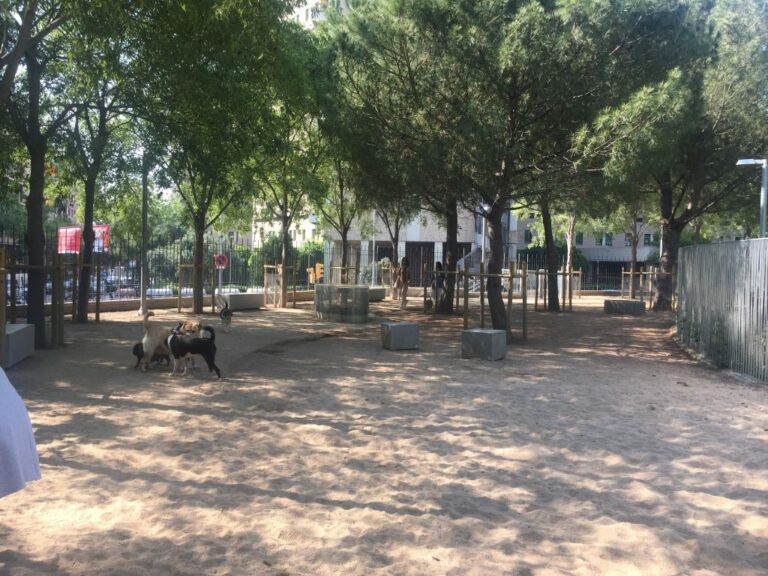 Veïns del Turó Parc reclamen el tancament de l’espai per gossos de Piscines i Esports