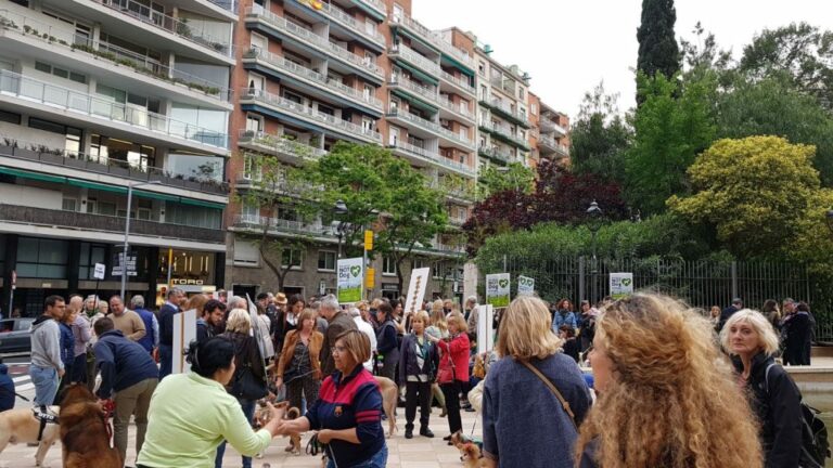 Protesta perquè els gossos puguin tornar al Turó Parc