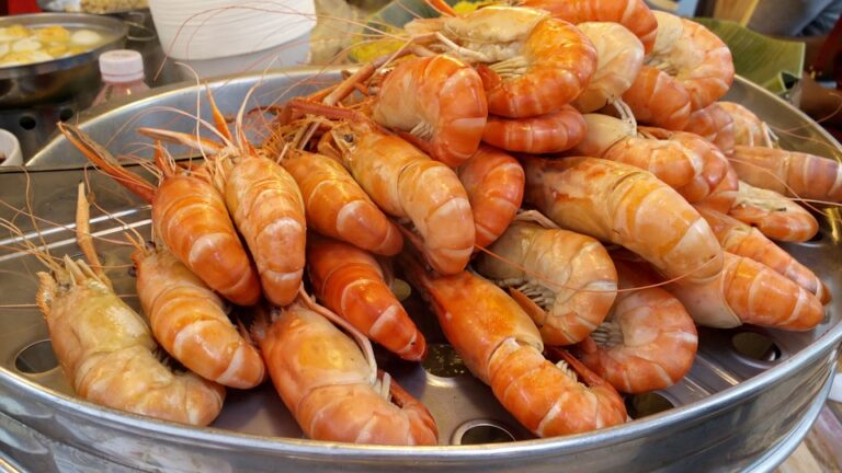 Gambes “d’Ordal”