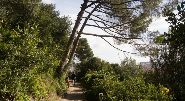 La millora del parc de la Font del Racó, sense data però més a prop: una inversió de 2 milions d’euros