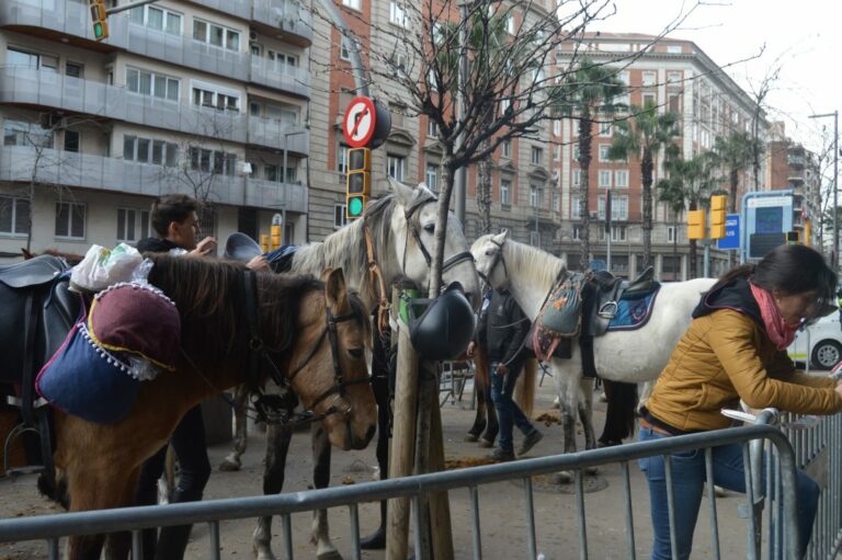 Una jornada dolça, Sant Medir