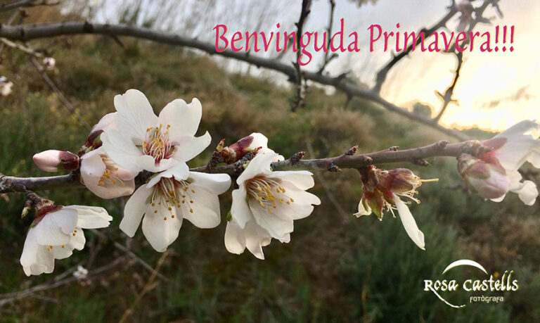 Benvinguda primavera!