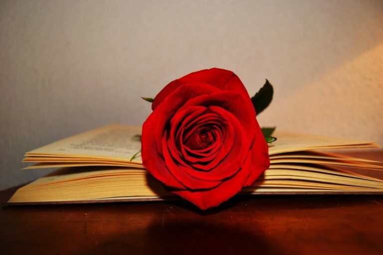 Sant Jordi i els herois