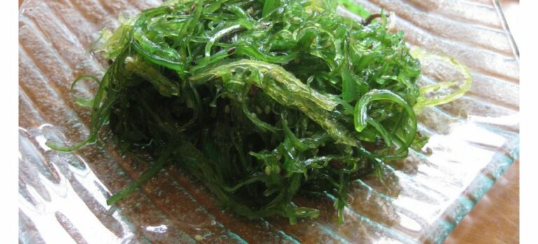 L’alga espirulina