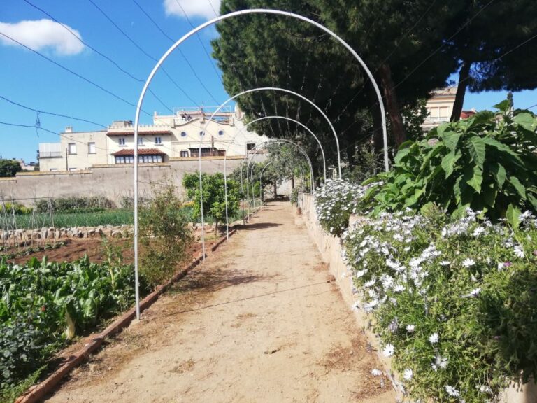 L’hort del monestir de Sant Pere de les Puel·les