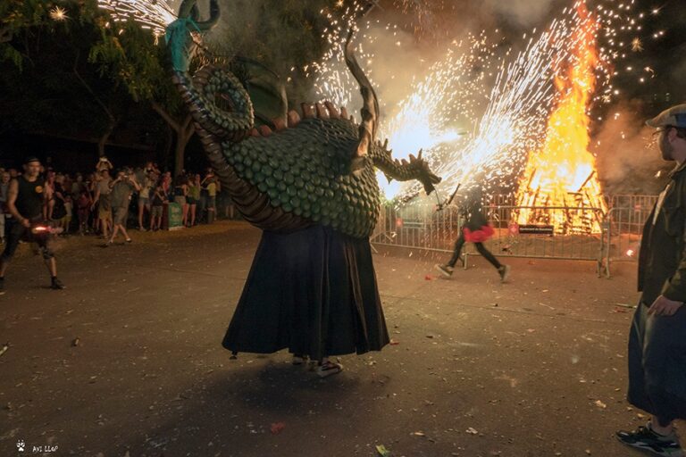 [GALERIA DE FOTOS] Revetlla de Sant Joan