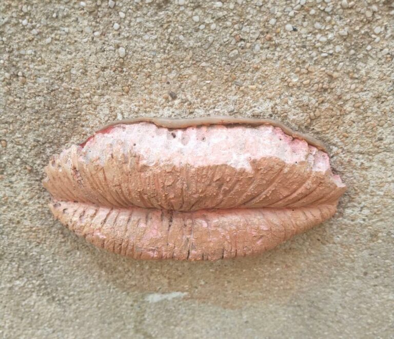 Curiositat o misteri, els llavis de pedra 