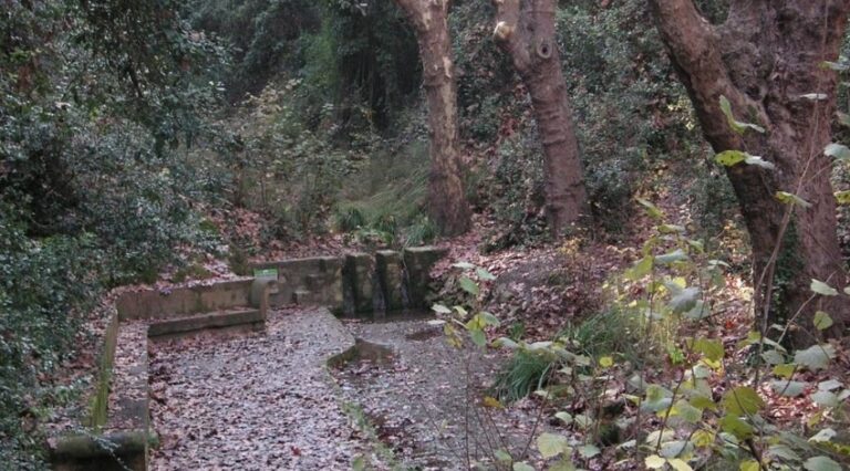 Collserola recuperarà 14 de les seves fonts més emblemàtiques