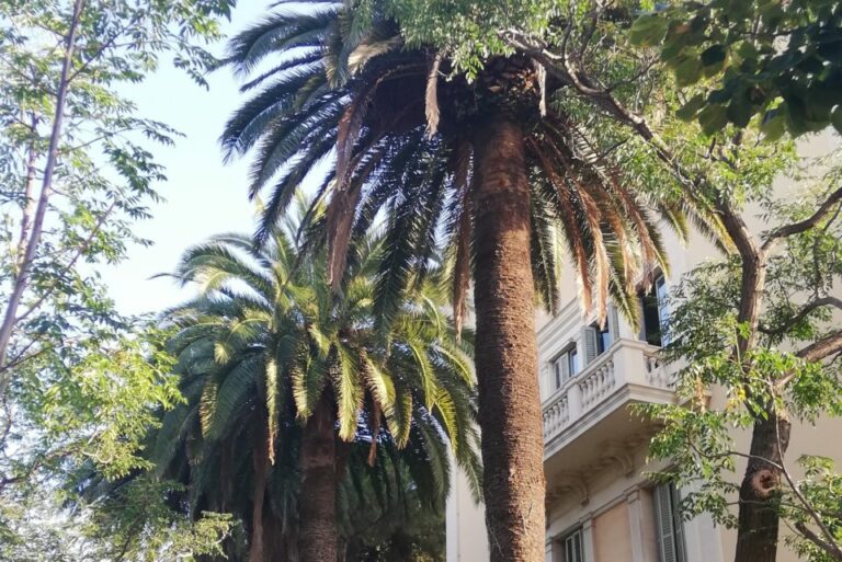 Els jardins de la Vil·la Cecília Els jardins de la Vil·la Cecília