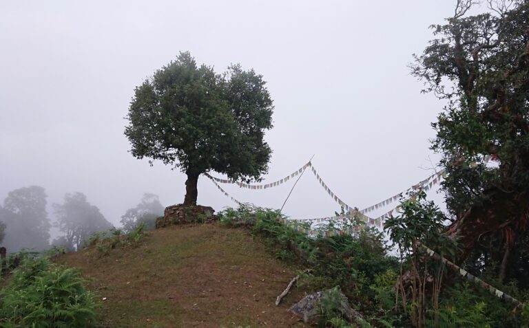 Nepal: país de contrastos