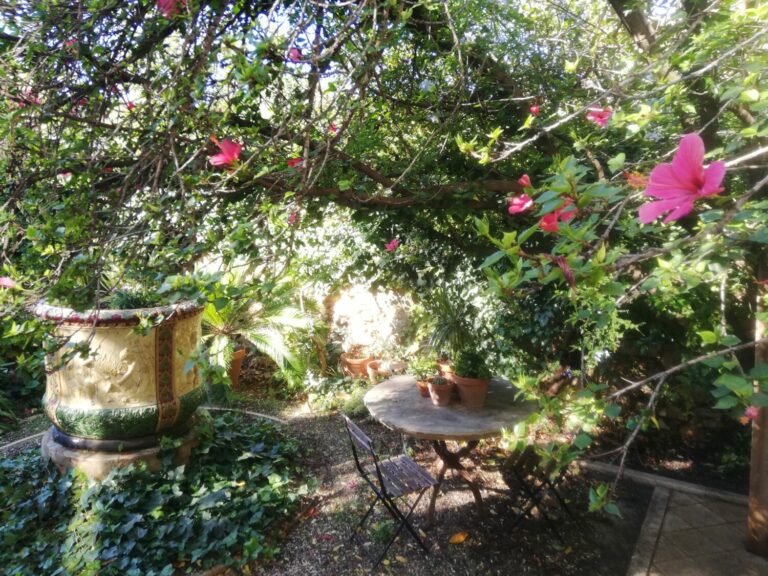 El jardí de la Torre Amat