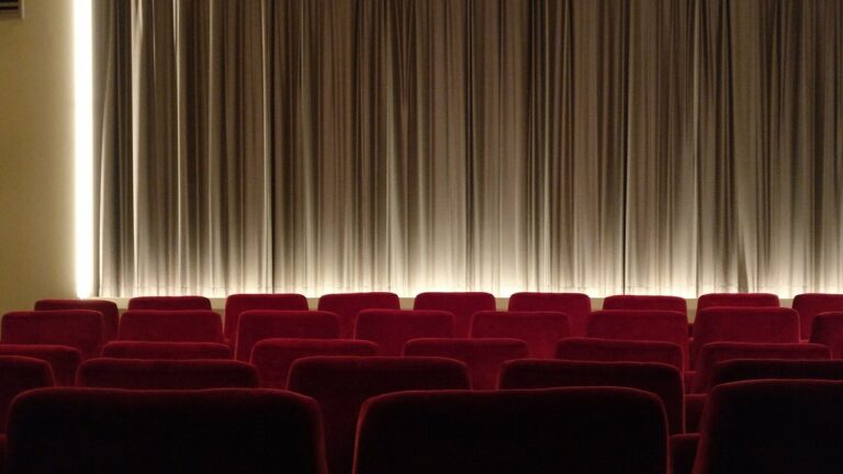 Un nou front per a la llei del cinema: les plataformes en línia