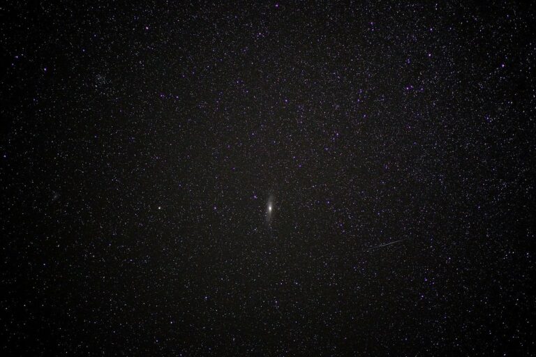 1910, quan els astres tossien, per Roser Díaz