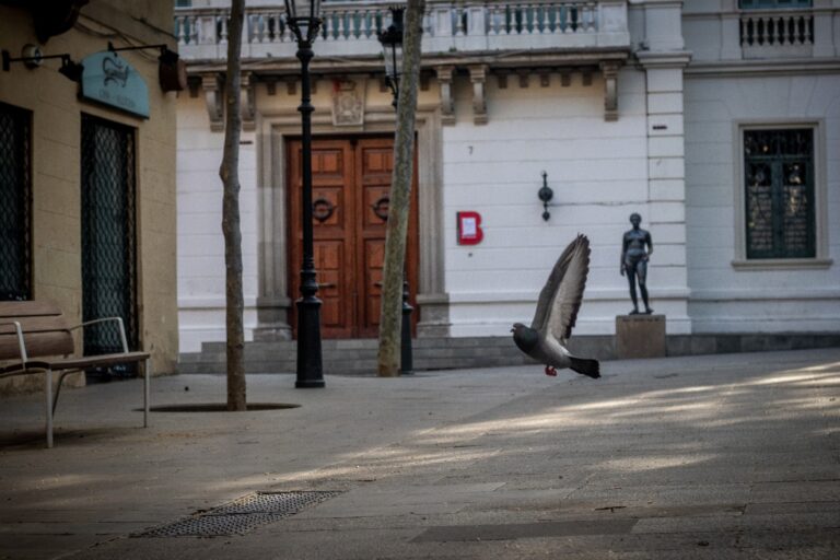 #NosaltresEnsQuedemACasa