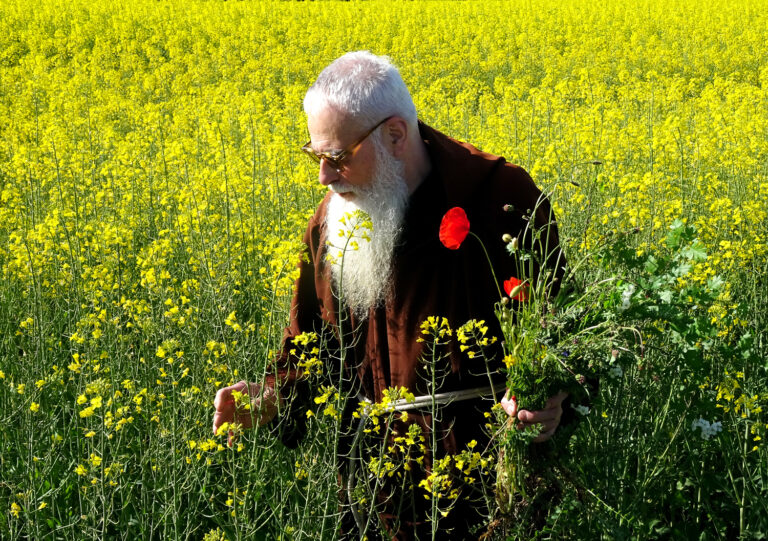 Els remeis que s’aconsellaven per curar-se de la pesta negra