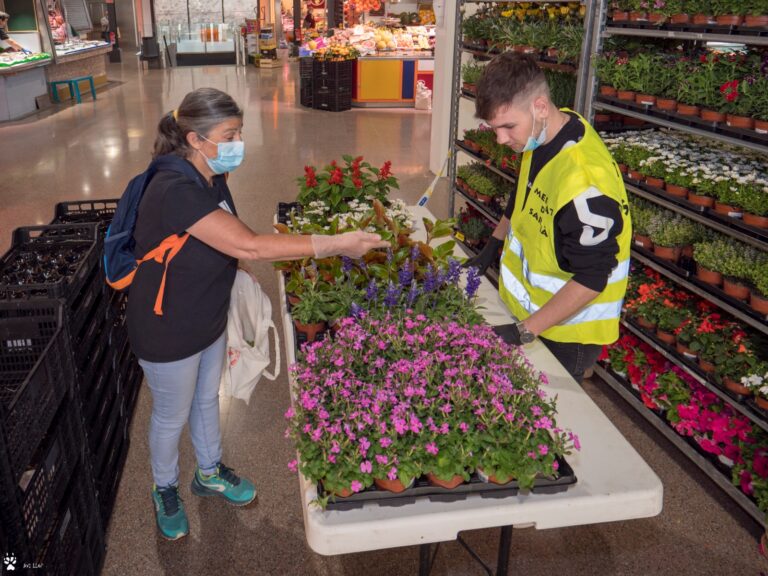 Els clients del Mercat de Sarrià reben plantes per la seva compra