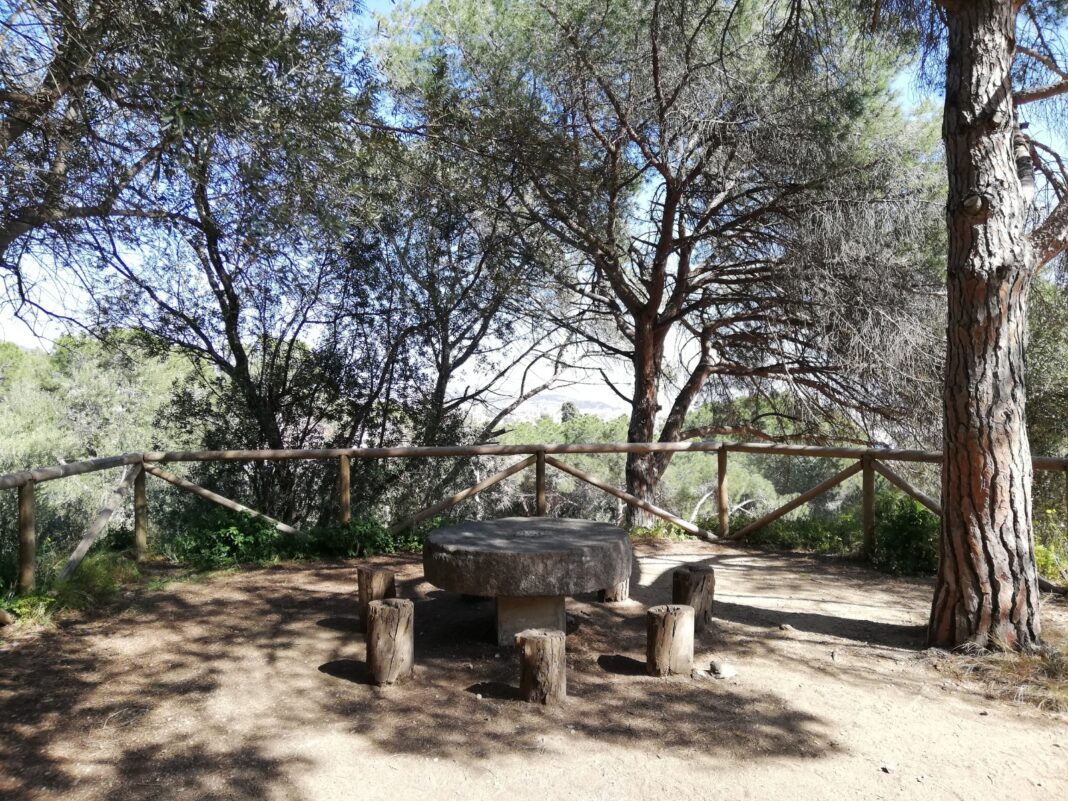 Parc Castell Oreneta. Foto M. Josep Tort 4