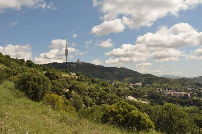 Aprovat definitivament el Pla de protecció del Parc Natural de Collserola