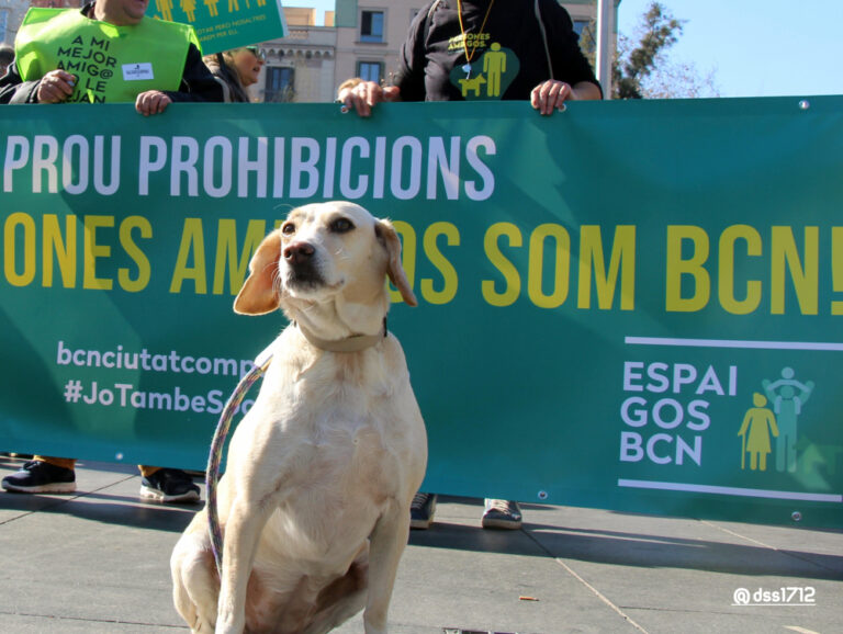 “No tinc res en contra però…”