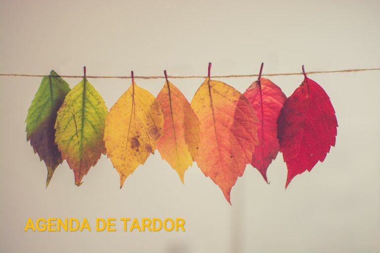 S’obren les inscripcions dels tallers de tardor als centres cívics