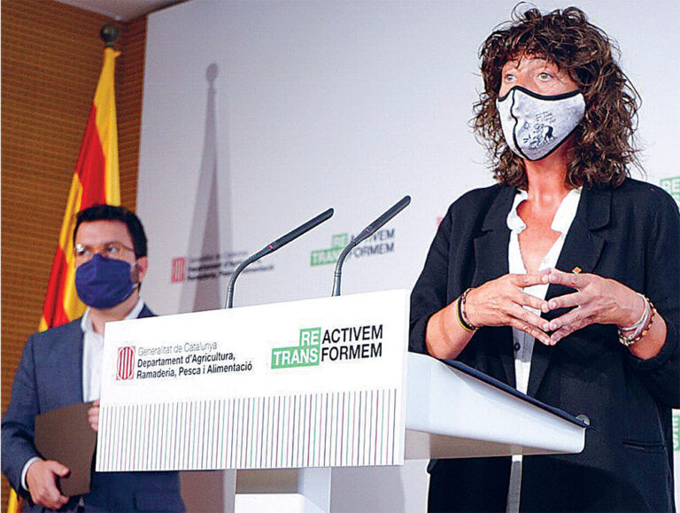 Teresa Jordà