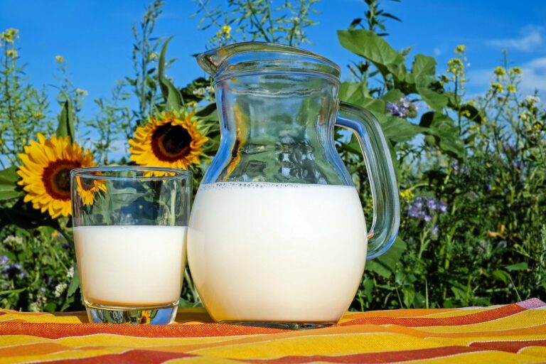 Les al·lèrgies alimentàries més comunes en infants
