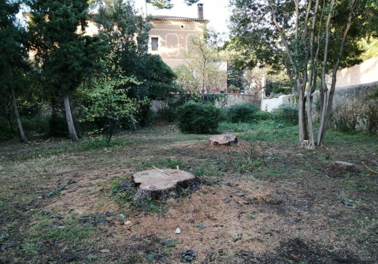 Indignació per la tala d’arbres de més de 50 anys als jardins de Can Ponsic