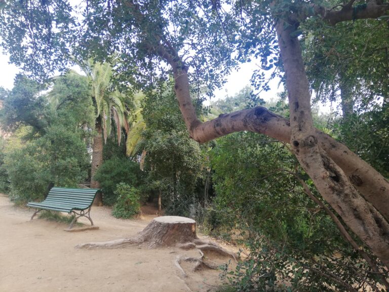 Els jardins de l’escola Dolors Monserdà-Santapau