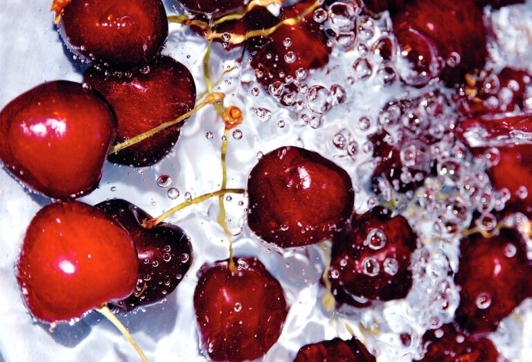 Conservar els aliments a l’estiu