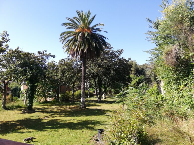 Jardins de l’Institut del Desert de Sarrià