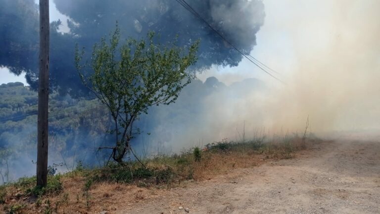 Declarat un petit foc a la carretera de Santa Creu d’Olorda