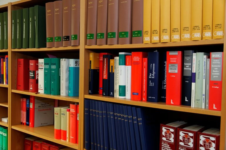 La segona oportunitat: eixugar els deutes i començar de nou