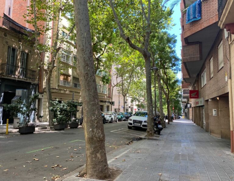 Que no ens treguin passejar segurs i tranquils pels carrers de Sarrià-Sant Gervasi