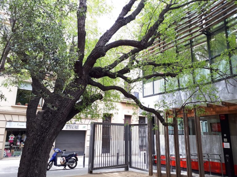 Reobre el Centre de Serveis Socials de Sant Gervasi un any i mig després