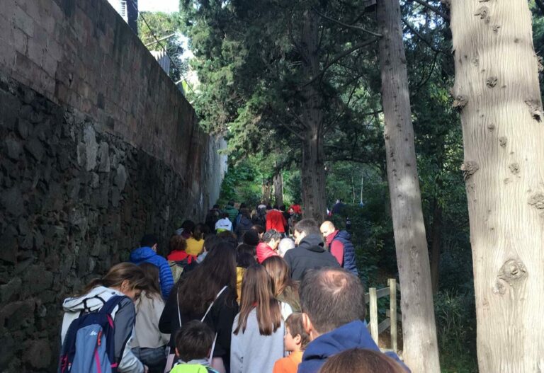 Torna la caminada solidària a Collserola a favor de la lluita contra la leucèmia