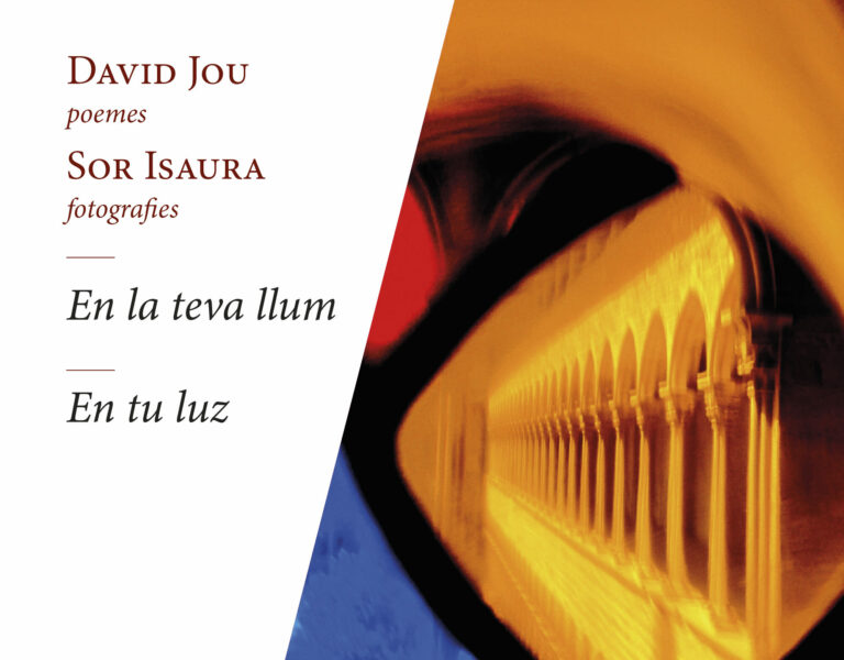 Llum i poesia a Pedralbes en l’últim llibre de David Jou