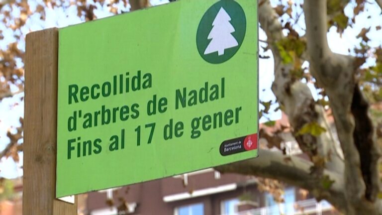 Aquests són els punts on pots deixar els arbres de Nadal a Sarrià-Sant Gervasi