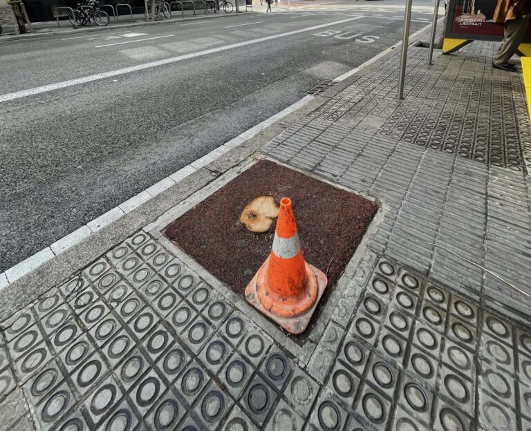 Un barri amb cada vegada menys arbres