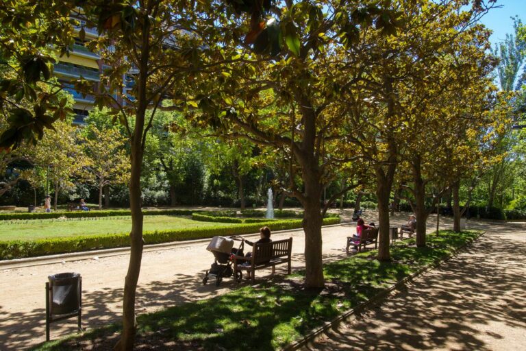 L’Ajuntament deixarà de regar la gespa dels parcs i jardins per la sequera