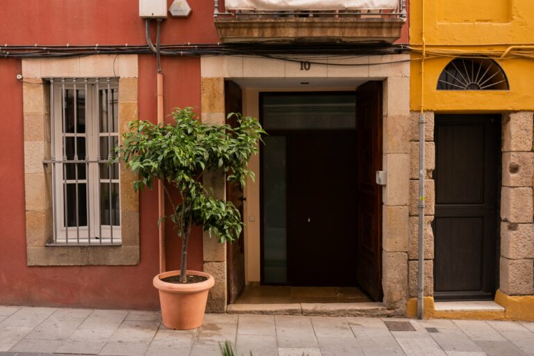 La veïna de Sarrià multada per tenir un llimoner al carrer presenta al·legacions amb l’ajuda del veïnat